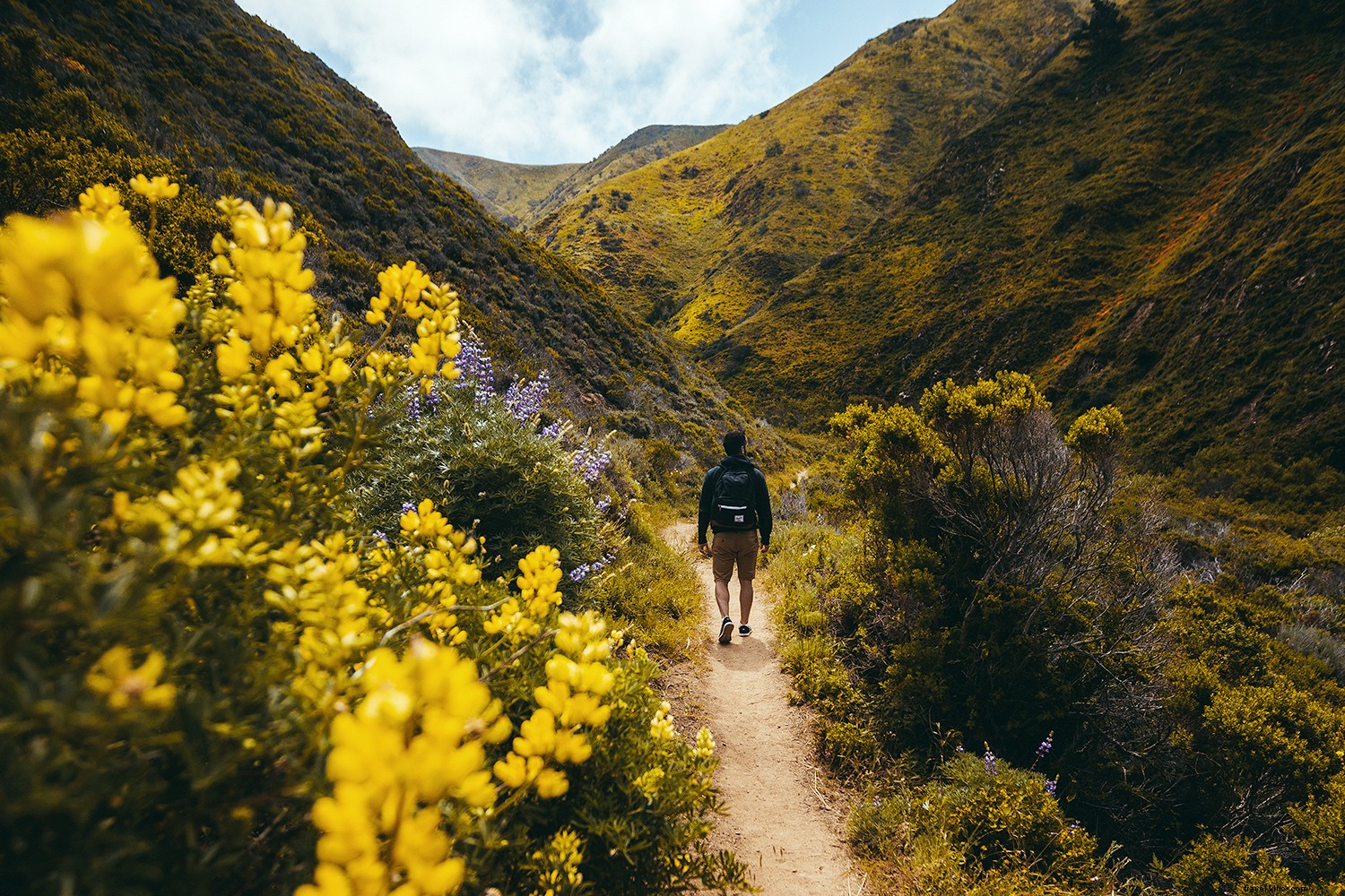 7 leçons que vous apprendrez lors d une excursion à Monterey 